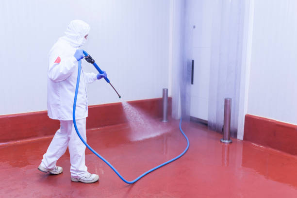 Professional Pressure Washing Services in Garberville, CA